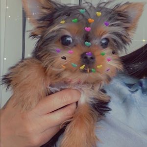 Meet your Posher, Mari